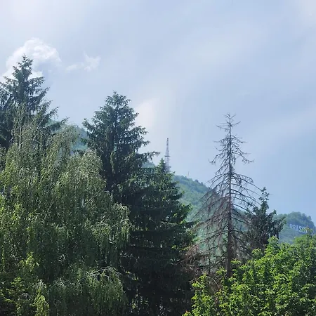 Gaste Haus Ober * Брашов