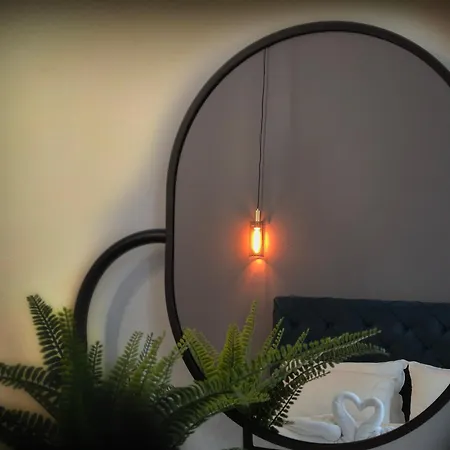 Pensiunea Ober 住宿加早餐酒店 3*