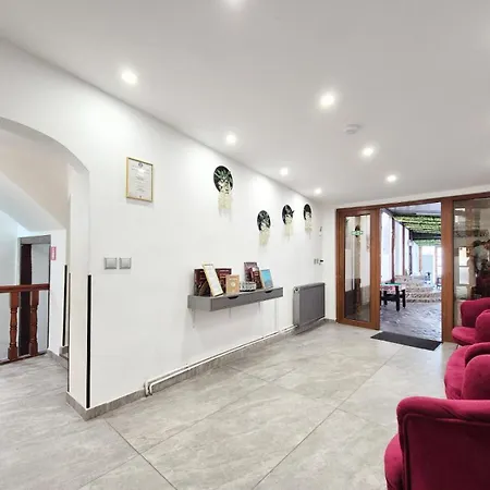 Pensiunea Ober 住宿加早餐酒店 布拉索夫