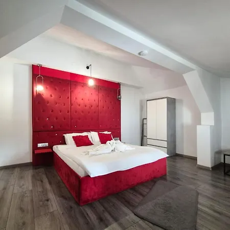 住宿加早餐酒店 Pensiunea Ober