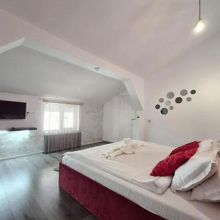 住宿加早餐酒店 Pensiunea Ober 布拉索夫