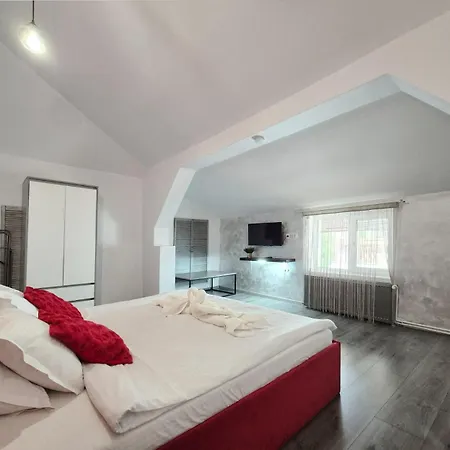 住宿加早餐酒店 Pensiunea Ober 3*