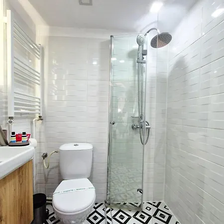 Pensiunea Ober 住宿加早餐酒店