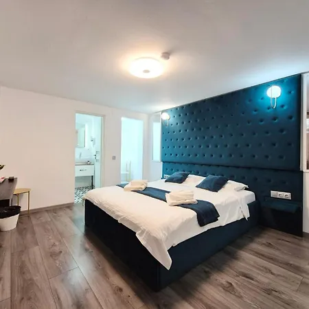 Pensiunea Ober 住宿加早餐酒店