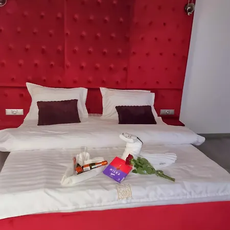 住宿加早餐酒店 Pensiunea Ober