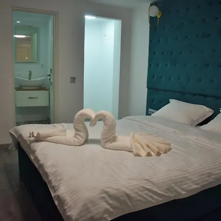 Pensiunea Ober 3* 布拉索夫