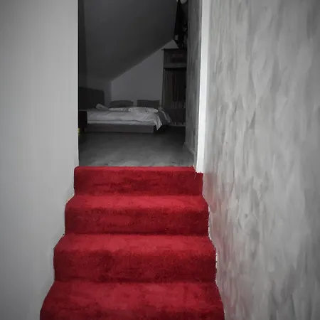 Pensiunea Ober 住宿加早餐酒店 3*