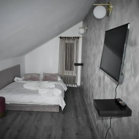 住宿加早餐酒店 Pensiunea Ober 3*