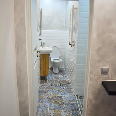 Pensiunea Ober 住宿加早餐酒店 3*