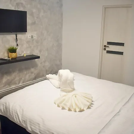 Pensiunea Ober 住宿加早餐酒店