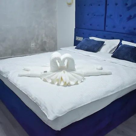 Pensiunea Ober 住宿加早餐酒店 3*