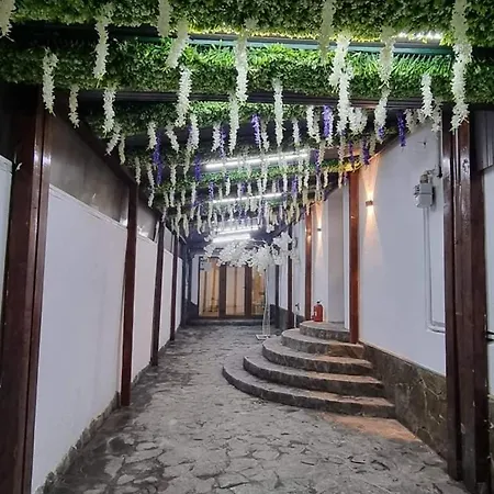 Pensiunea Ober 住宿加早餐酒店 3*