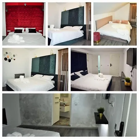 Pensiunea Ober 住宿加早餐酒店