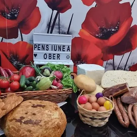 Pensiunea Ober 住宿加早餐酒店 布拉索夫