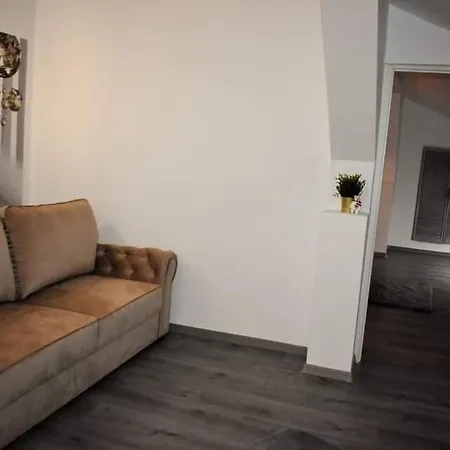 住宿加早餐酒店 Pensiunea Ober 3*