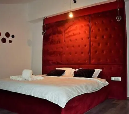 Pensiunea Ober 3* 布拉索夫