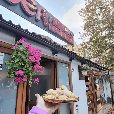 Pensiunea Ober 住宿加早餐酒店 3*