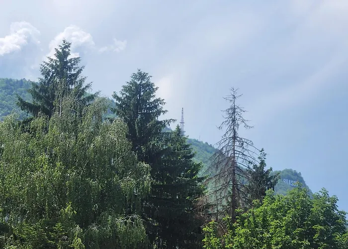 Pensiunea Ober 3* Brasov