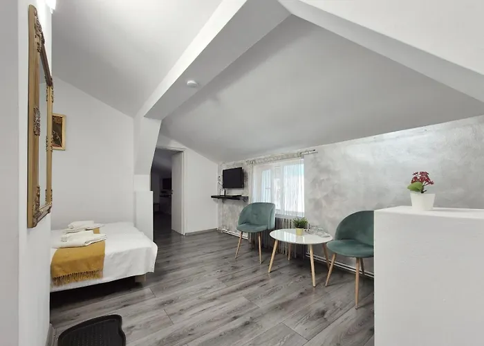 Pensiunea Ober לינה וארוחת בוקר בראשוב