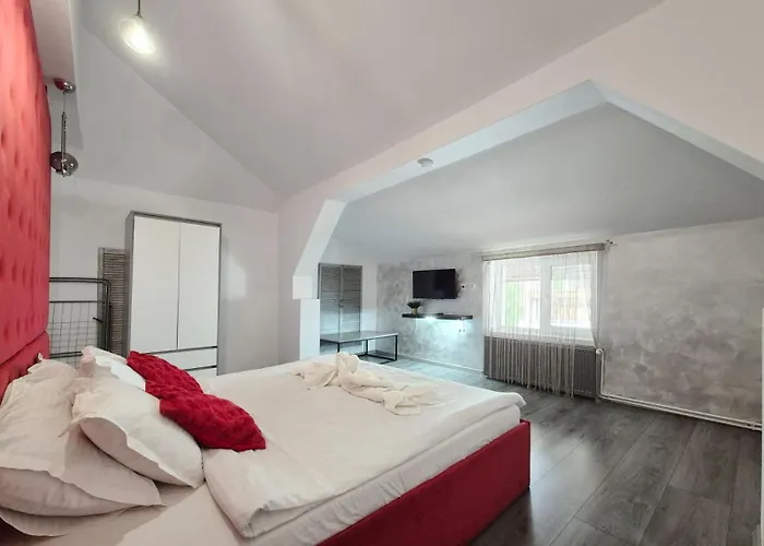 Bed & Breakfast Pensiunea Ober 3*