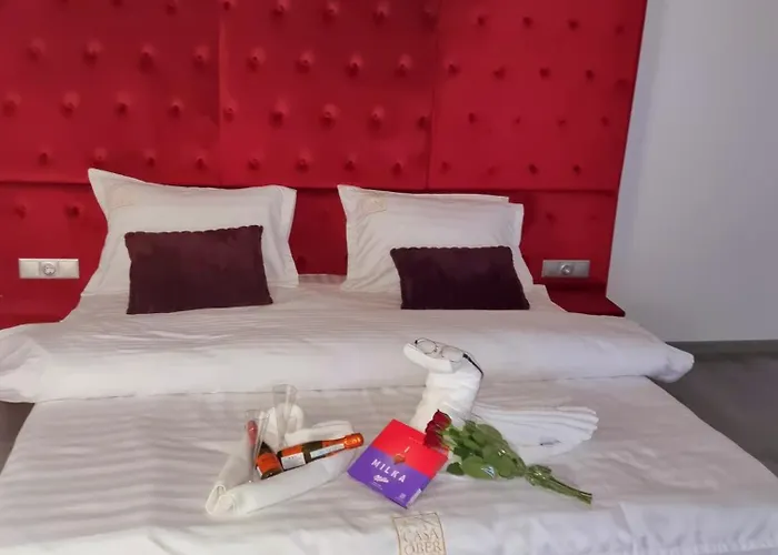 לינה וארוחת בוקר Pensiunea Ober