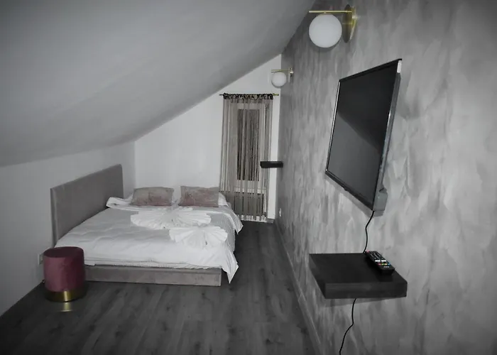 Bed & Breakfast Pensiunea Ober 3*